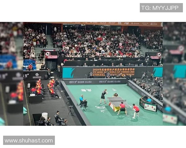 成都乒乓球队在全国个人能力排行榜中荣获第七名的辉煌成就